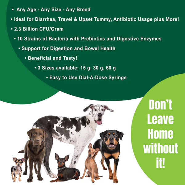 DogZymes Canine Probiotic Paste NOW IN 2 SIZES