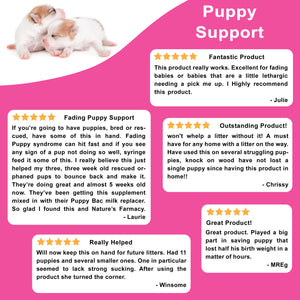 Assistance pour chiots DogZymes