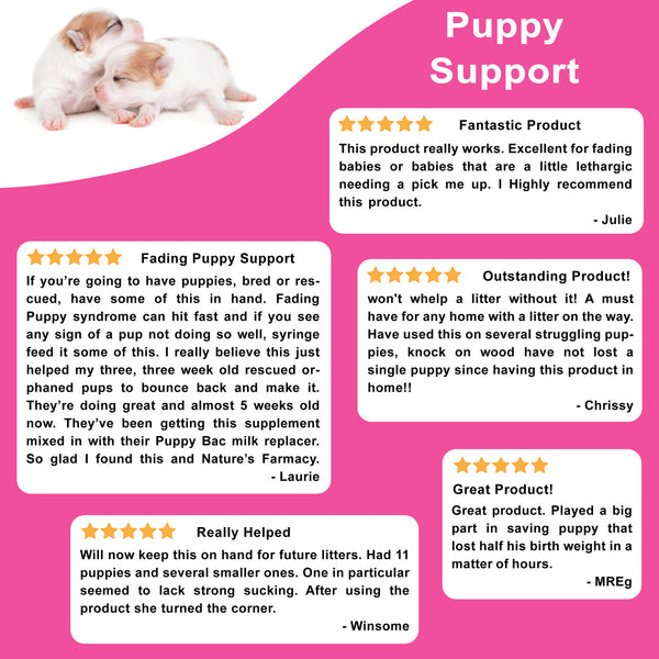 Assistance pour chiots DogZymes