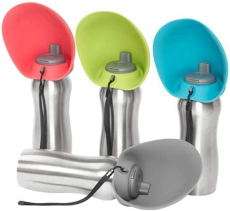 Bouteille d'eau de voyage en acier inoxydable Messy Mutts 24 oz / 700 ml