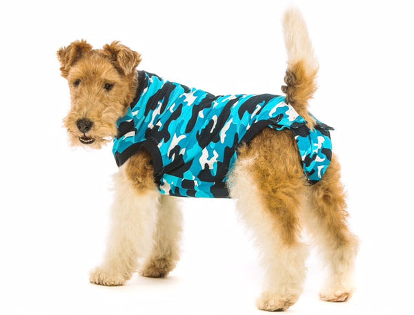Suitical Recovery & Weaning Suit For Dogs