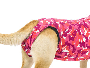 Combinaison de récupération et de sevrage pour chiens