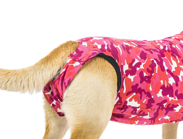 Combinaison de récupération et de sevrage pour chiens