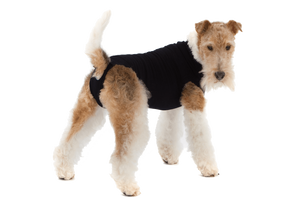 Combinaison de récupération et de sevrage pour chiens