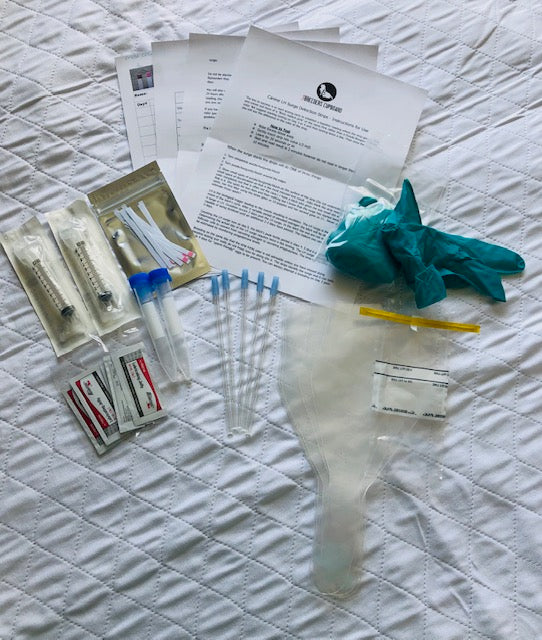 Kit d'élevage à cycle complet pour l'IA