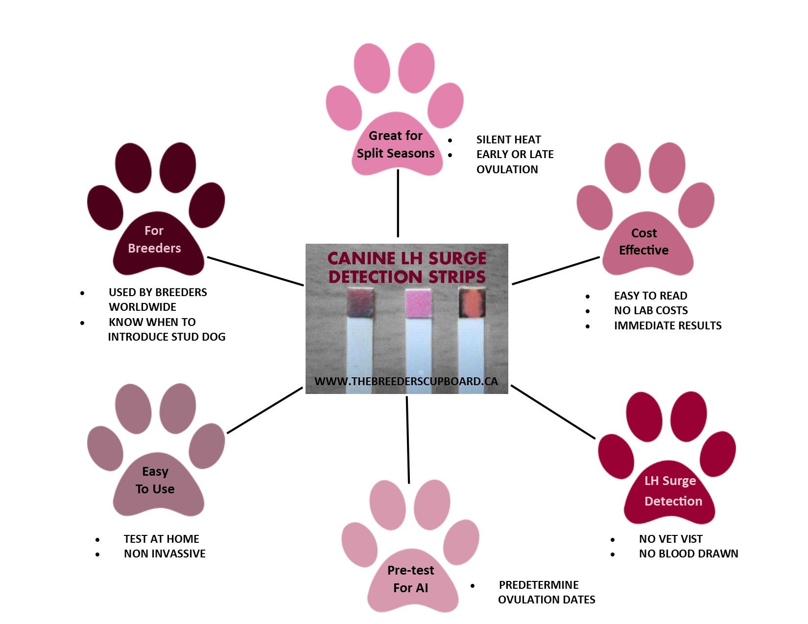 Bandelettes de détection de pic de LH / d'ovulation