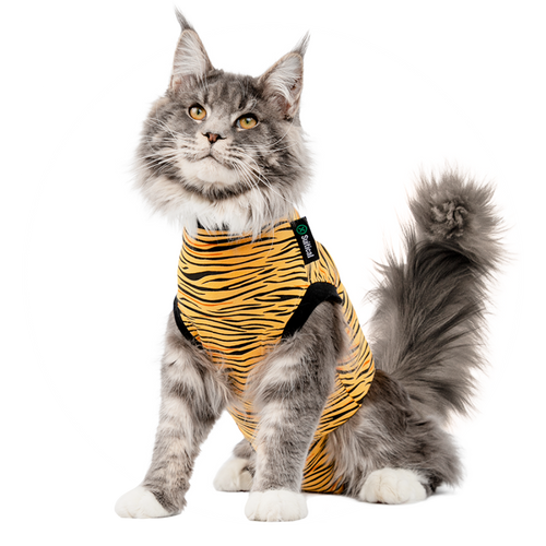 Combinaison de récupération et de sevrage pour chats