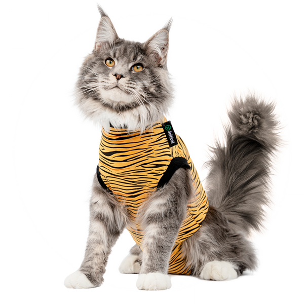 Suitical Recovery & Weaning Suit for Cats