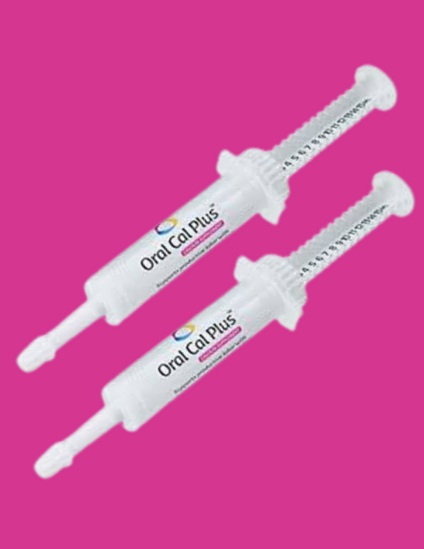 Breeder's Edge Oral Cal Plus Gel