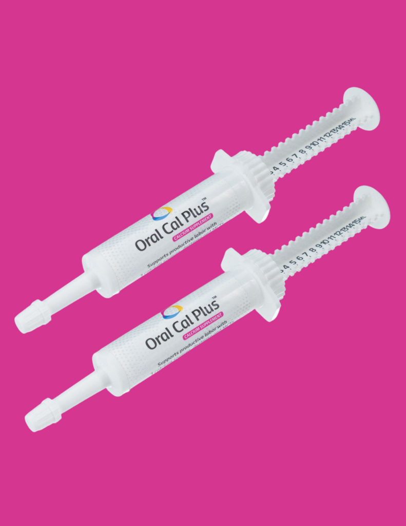 Breeder s Edge Oral Cal Plus Gel The Breeders Cupboard