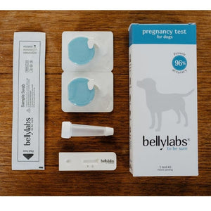Test de grossesse Bellylabs 