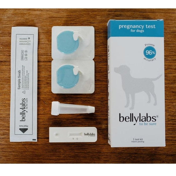 Test de grossesse Bellylabs 