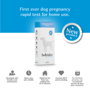 Test de grossesse Bellylabs 