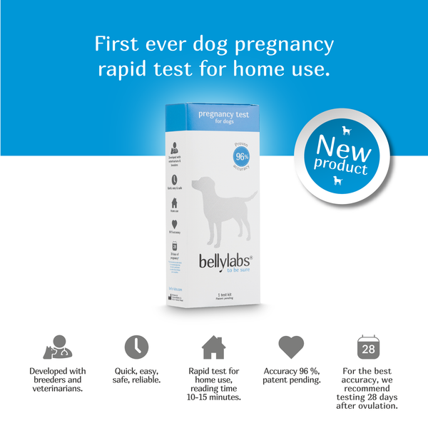 Test de grossesse Bellylabs 