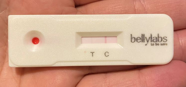 Test de grossesse Bellylabs 