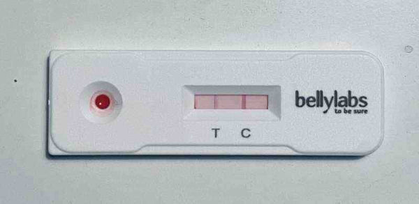 Test de grossesse Bellylabs 