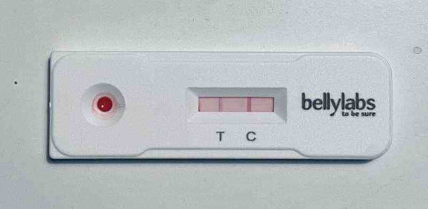 Bellylabs Pregnancy Test