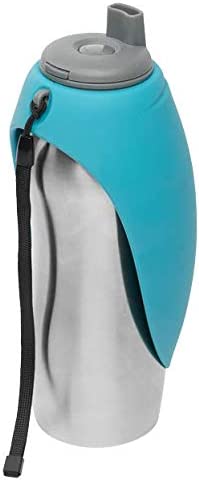Bouteille d'eau de voyage en acier inoxydable Messy Mutts 24 oz / 700 ml
