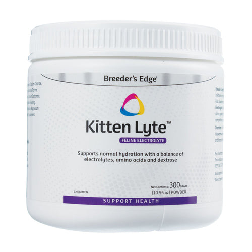 KIT DE REINE