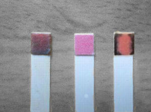 LH Surge / Ovulation Detection Strips