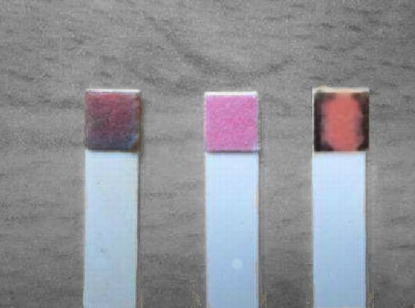 LH Surge / Ovulation Detection Strips