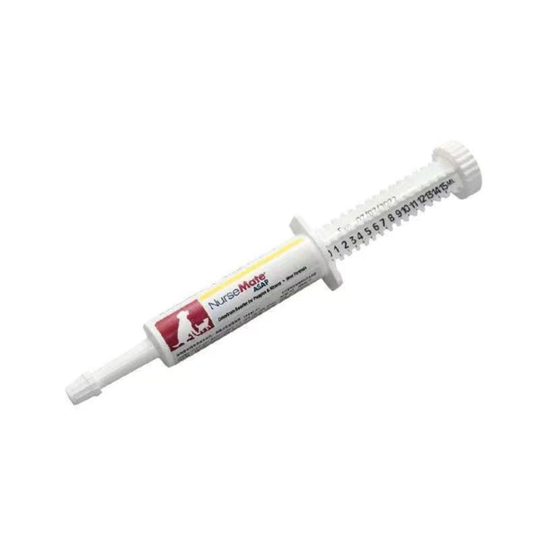 INFIRMIÈRE DÈS QUE POSSIBLE 