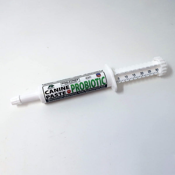 DogZymes Canine Probiotic Paste