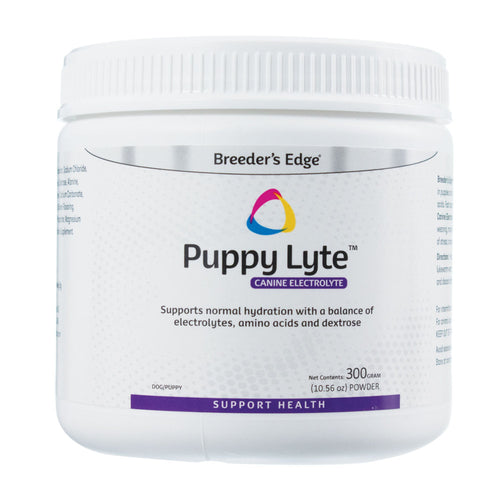 Chiot Lyte de Breeder's Edge