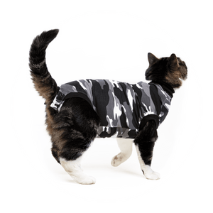 Combinaison de récupération et de sevrage pour chats