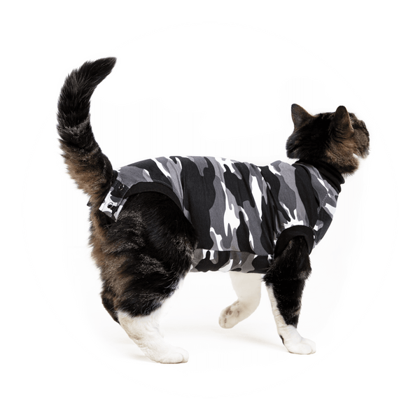 Combinaison de récupération et de sevrage pour chats