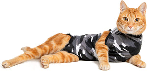 Combinaison de récupération et de sevrage pour chats