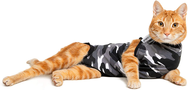 Combinaison de récupération et de sevrage pour chats