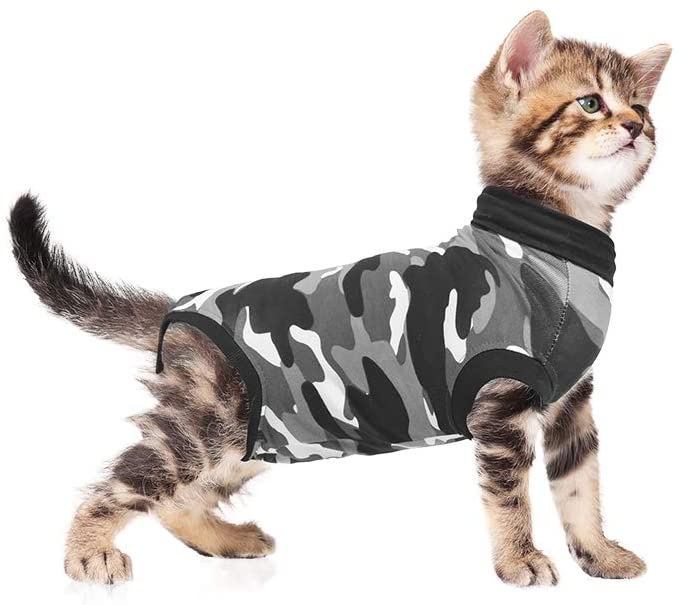 Combinaison de récupération et de sevrage pour chats