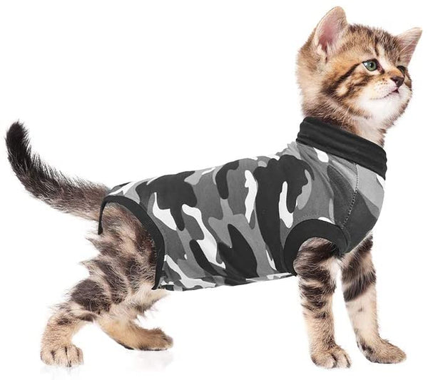 Combinaison de récupération et de sevrage pour chats