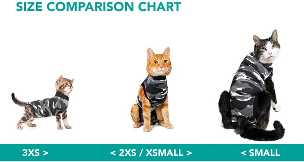 Combinaison de récupération et de sevrage pour chats